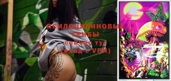 ПСИЛОЦИБИНОВЫЕ ГРИБЫ Баксан