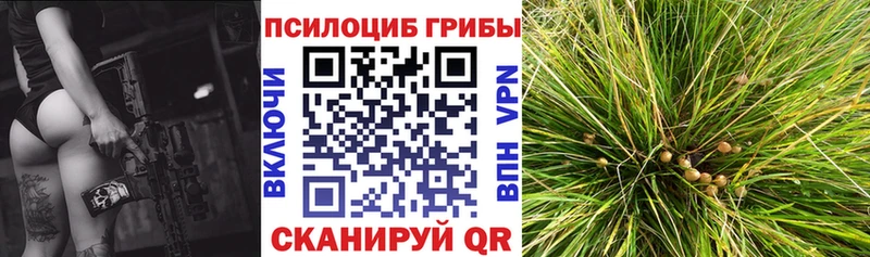 Псилоцибиновые грибы мухоморы  Купить  Красноармейск 